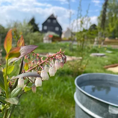 Apartment Grandel Walddorf (Saxony)